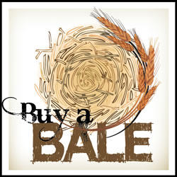 buy a bale logo