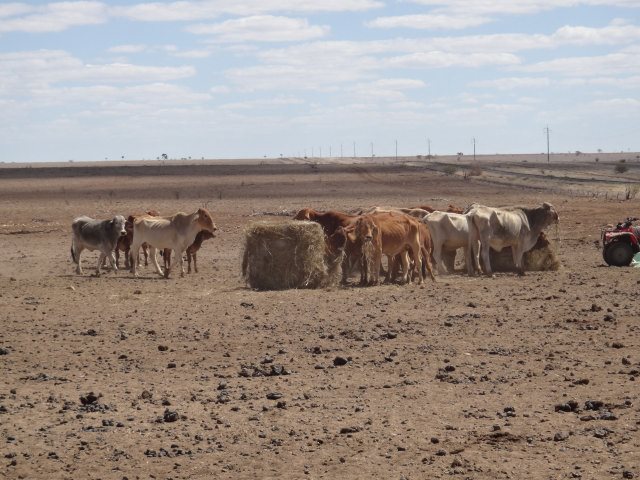 low res photo from buy a bale