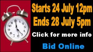 smart block Gotta go online auction jpg
