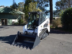 bobcat