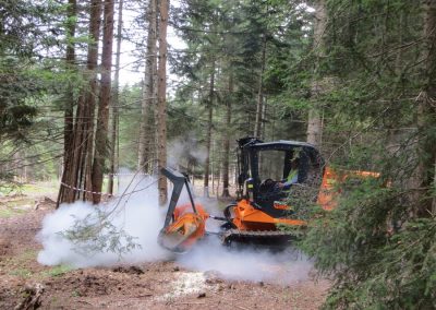 PT-175_forestry_mulcher