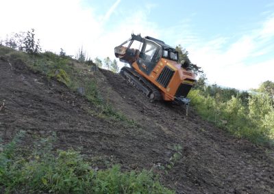 PT-175_forestry_mulcher
