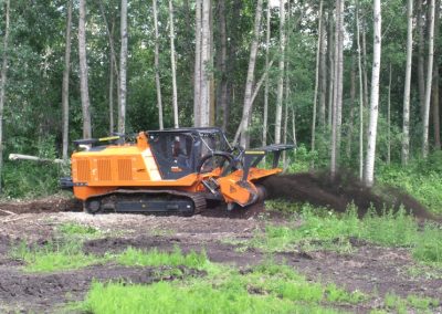 PT-600-mulching-head